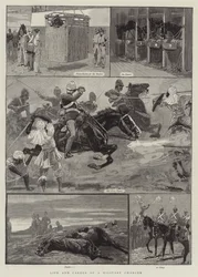 Vita e Carriera di un Cavallo Militare